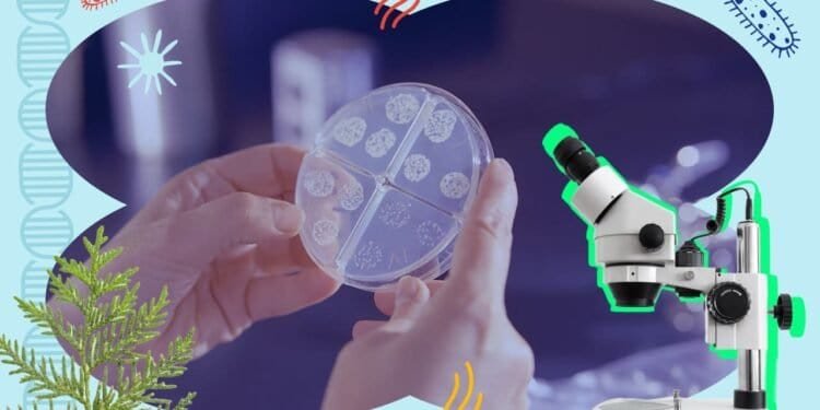 101 Biology Trivia Questions for the Greatest Nerds on Earth