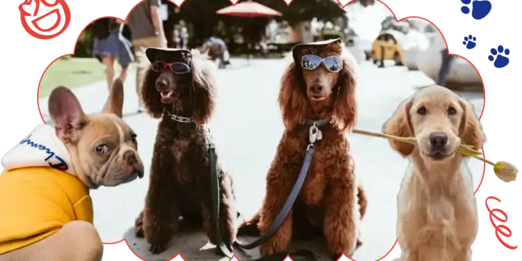 101 Dog Trivia Questions To Prove Your Canine Comprehension
