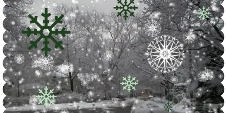 21 Snow Trivia Questions That’ll Make You Flake Out
