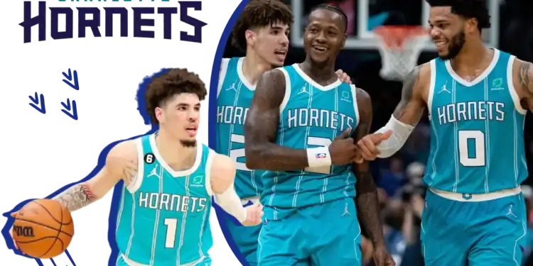 21 Charlotte Hornets Trivia Questions: Can You Buzz Through This Quiz?